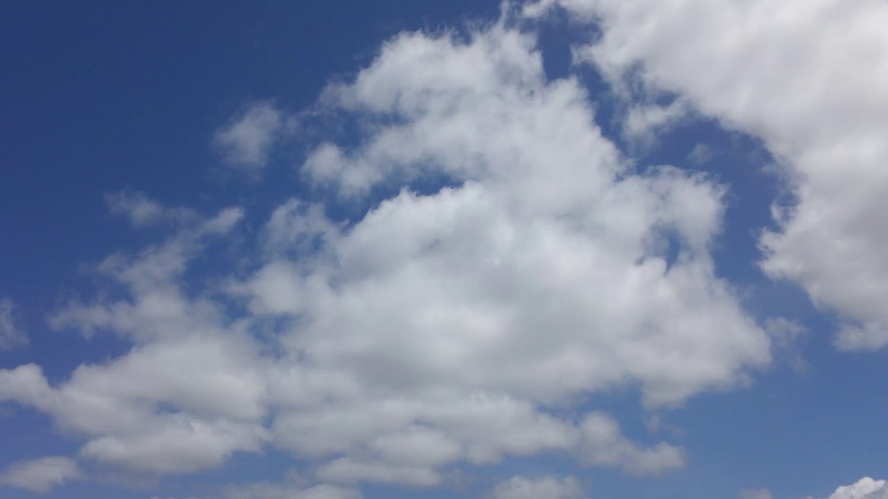 Michael Morley - The Endless Case for Gravity