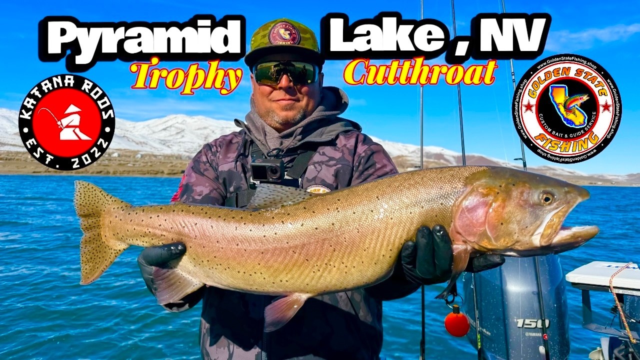 Chasing trophy Cutthroat at Pyramid lake NV