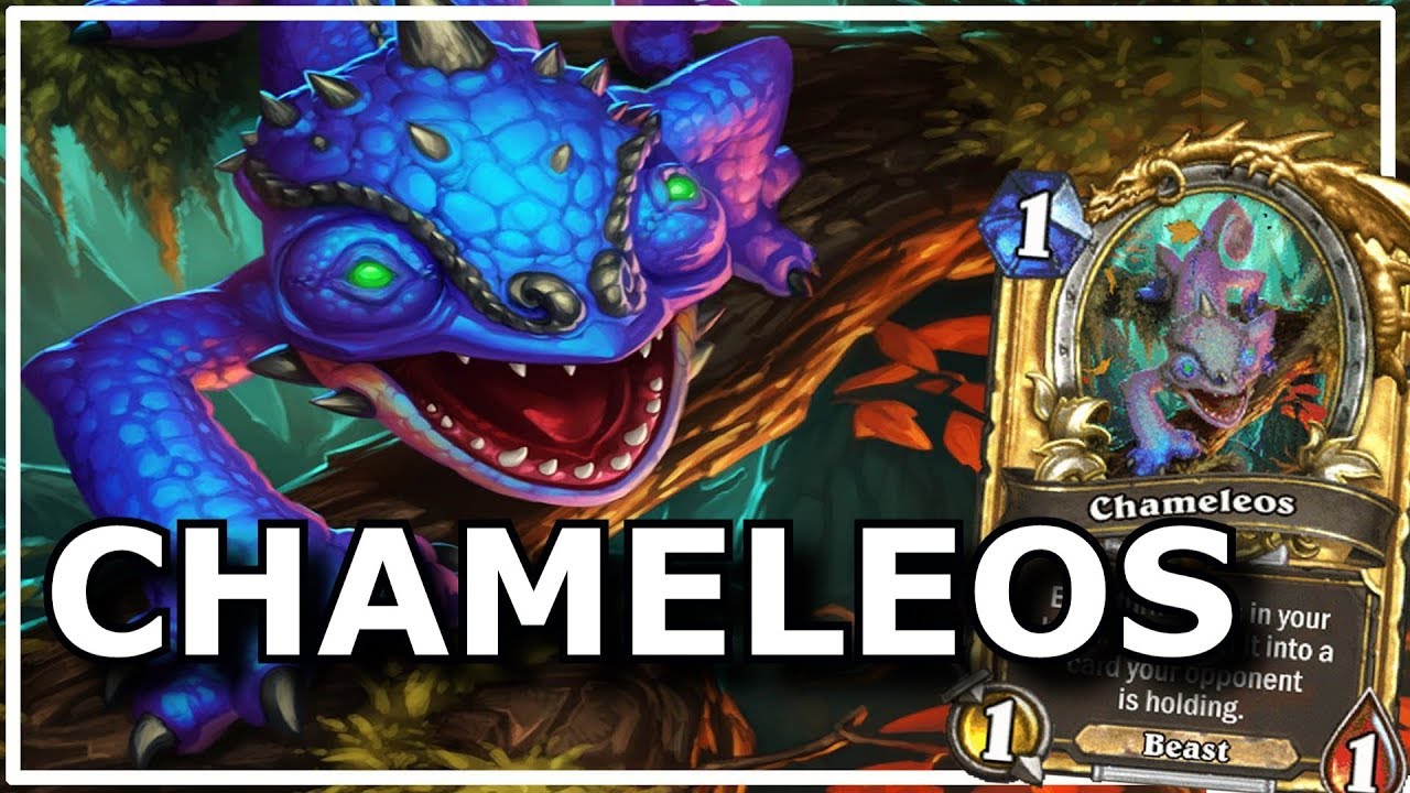 Hearthstone - Best of Chameleos