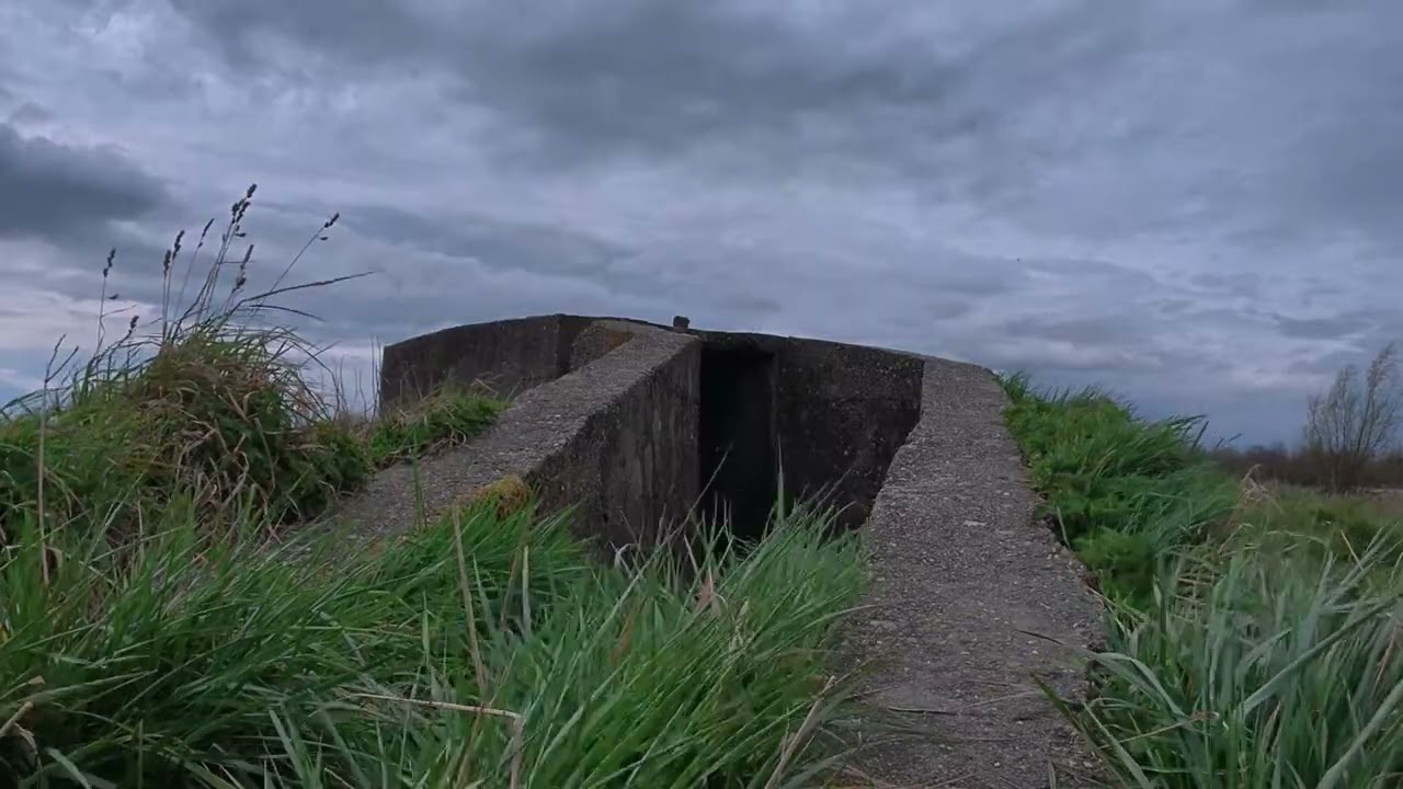 Portal 0007