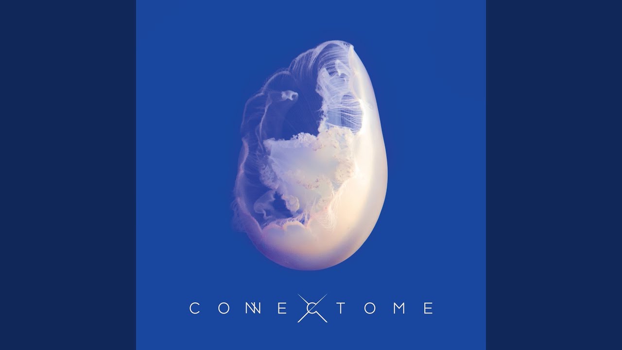 Connectome