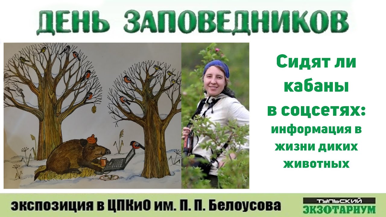 Панкова Надежда Леонидовна. Сидят ли кабаны в соцсетях: информация в жизни диких животных.
