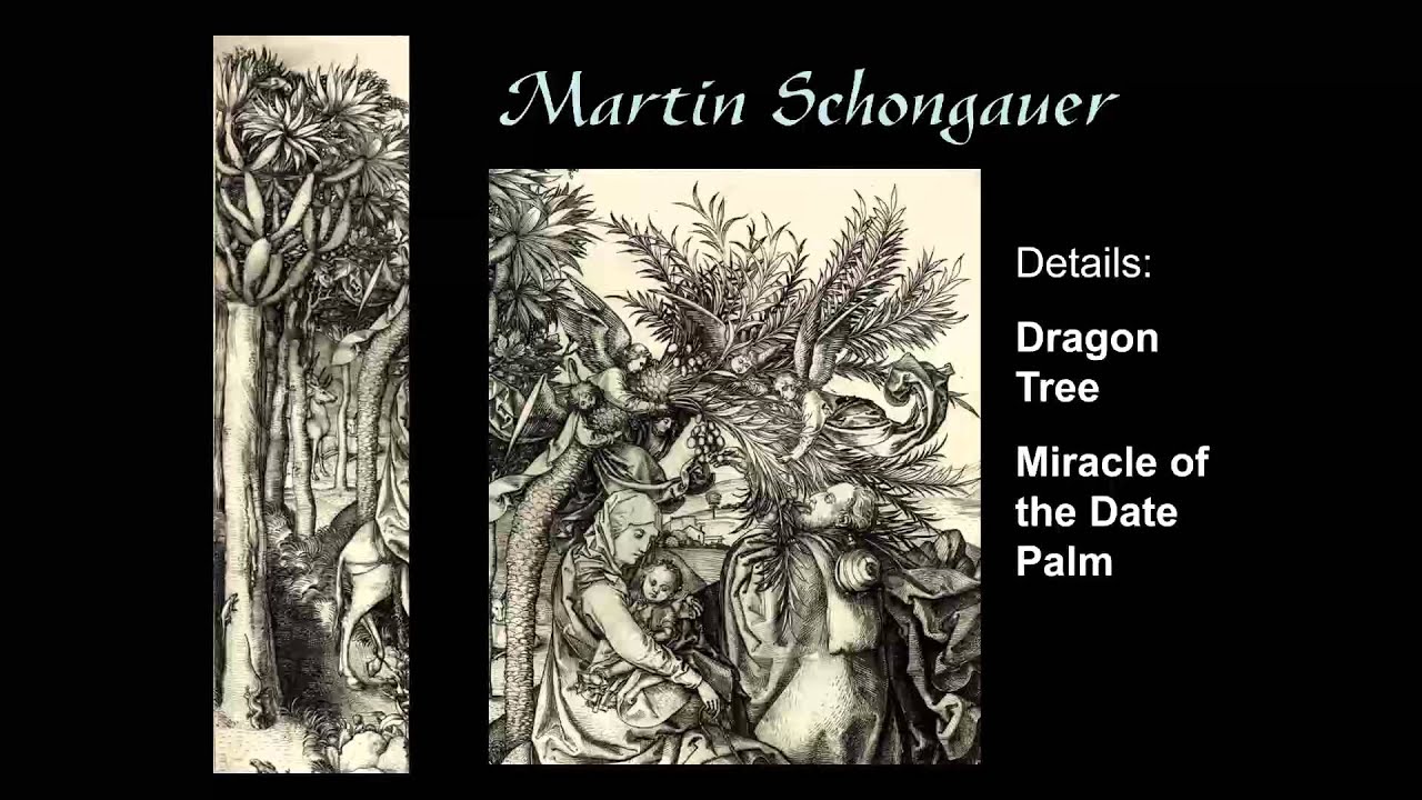 ARTH 4007 Martin Schongauer