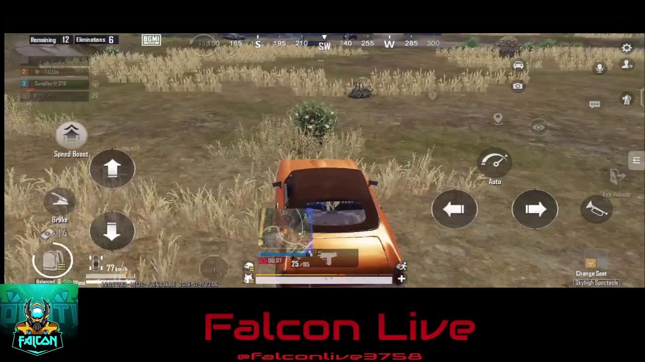 Fall & Wake Up | Always Try | Falcon Live | 142 / 365