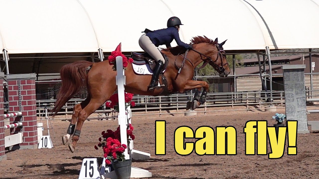 Equestrian Jumpers in Super Slow Motion | Scottsdale