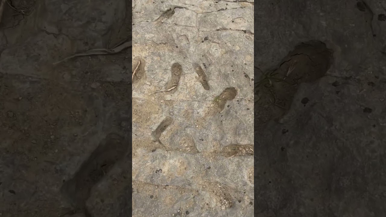 Red Gulch Dinosaur Tracksite