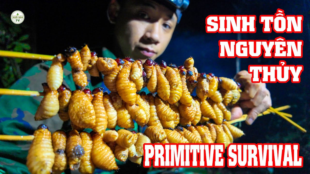 Primitive Survival Skills - Creating a Shelter to Find Food in Rotten Tree Trunk Ep 1✧ Suối Bản Tv
