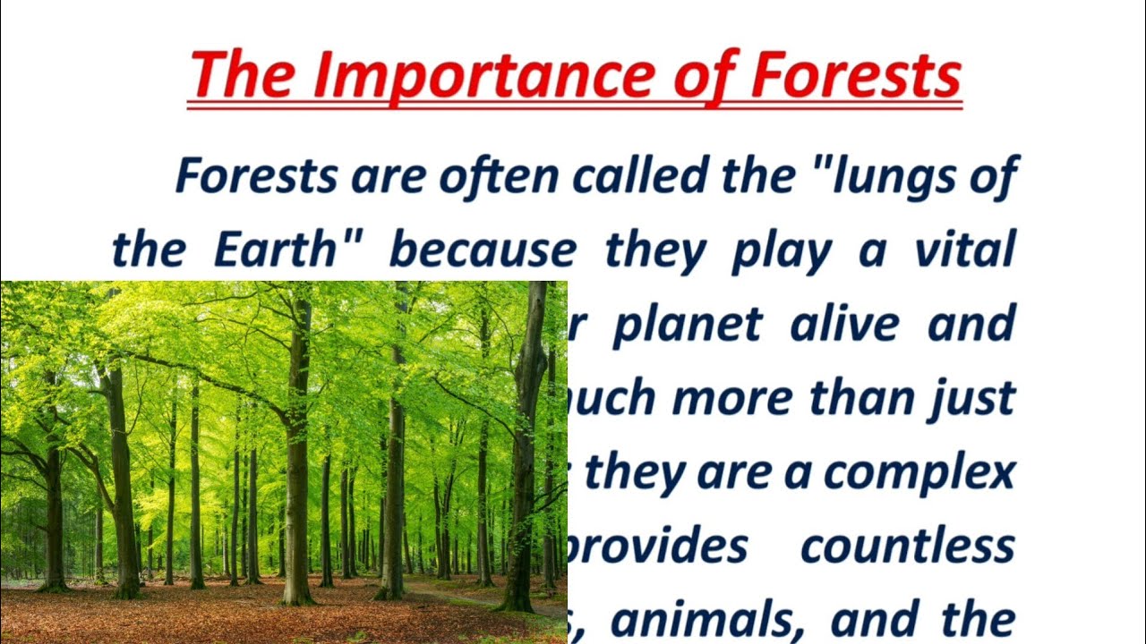The Importance Of Forest । वनों का महत्व । English reading makes easy । #viral #english #paragraph 📚