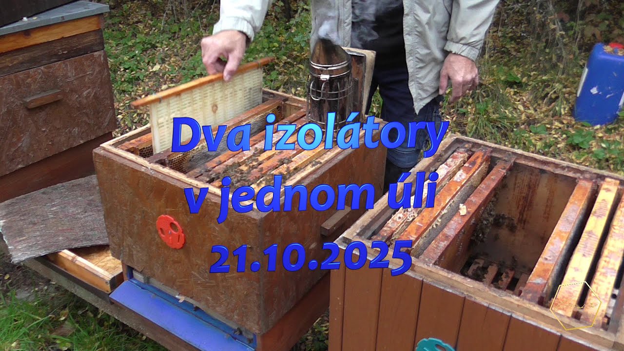 Dva izolátory v jednom úli - 21.10.2025