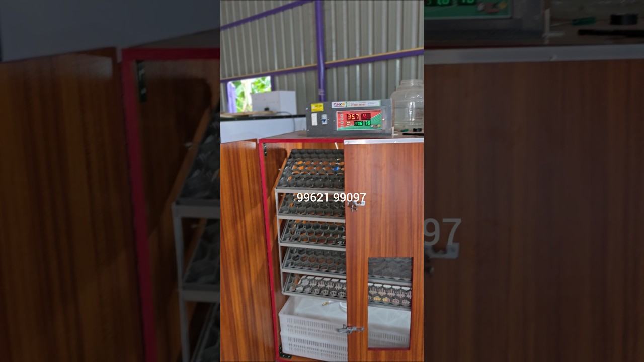 300 and 500 eggs fully automatic incubator #incubator #automaticincubator #incubatorintamil #chicks