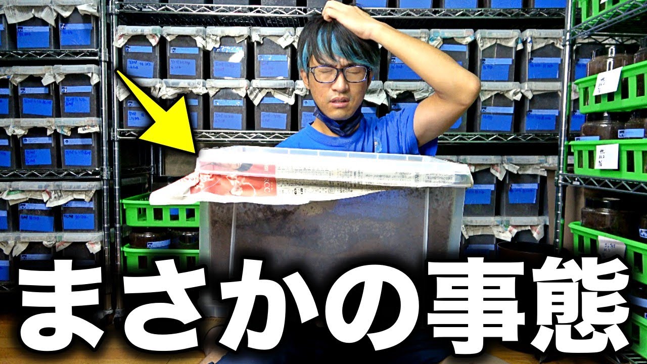 完全にやらかしました…