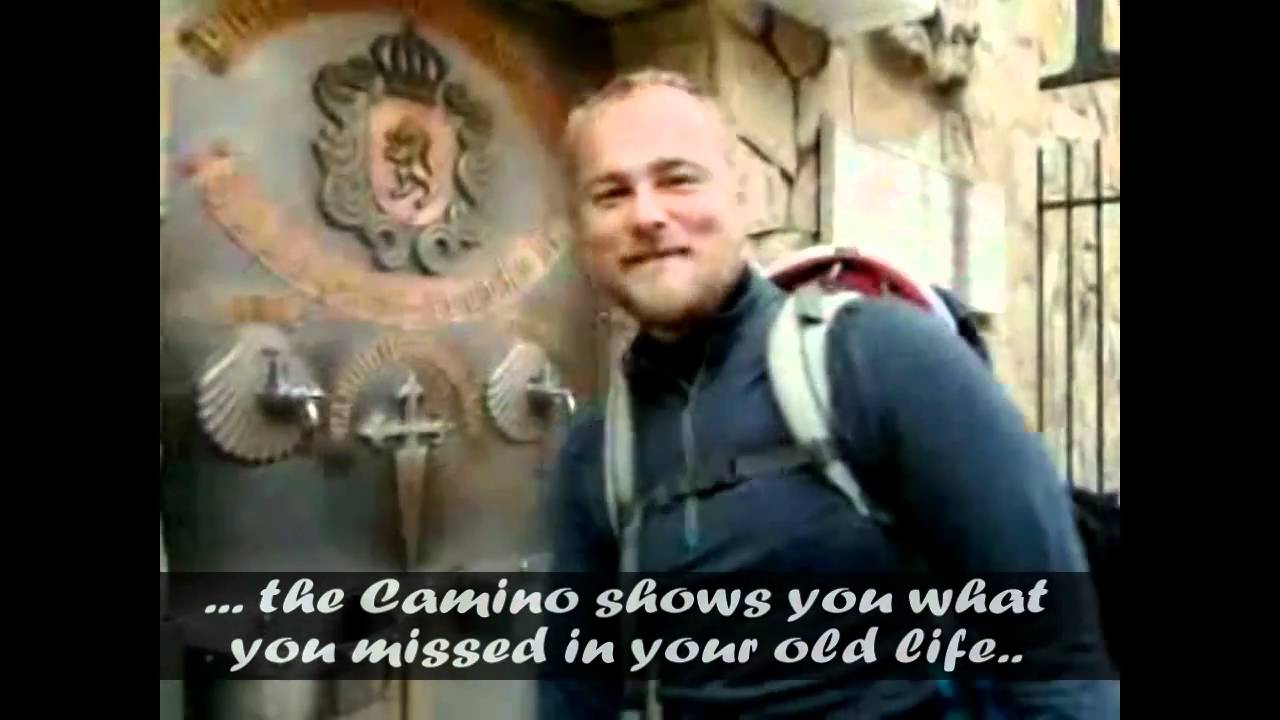 Camino de Santiago / Way of St. James with Dog