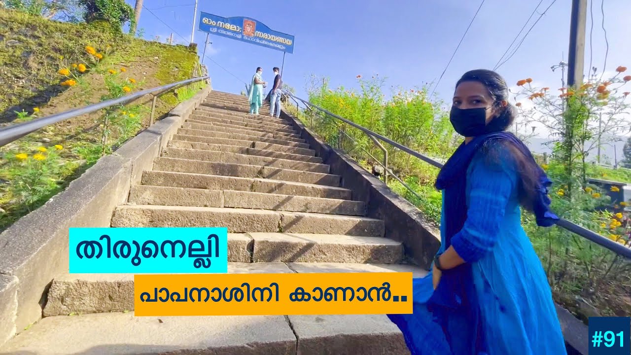 Thirunelli Temple | Tholpetty Wild Life Sanctuary | Thirunelli Unniyappam | 5K UHD | Safnas Records