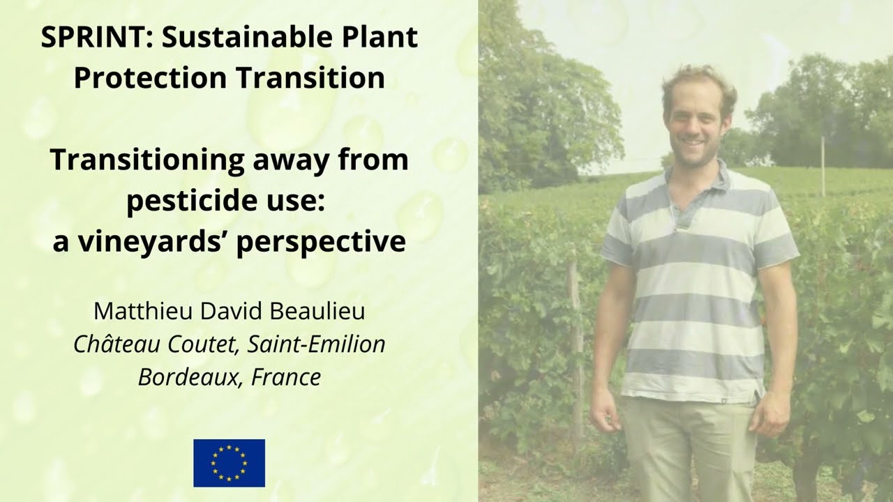 Organic wine production in France