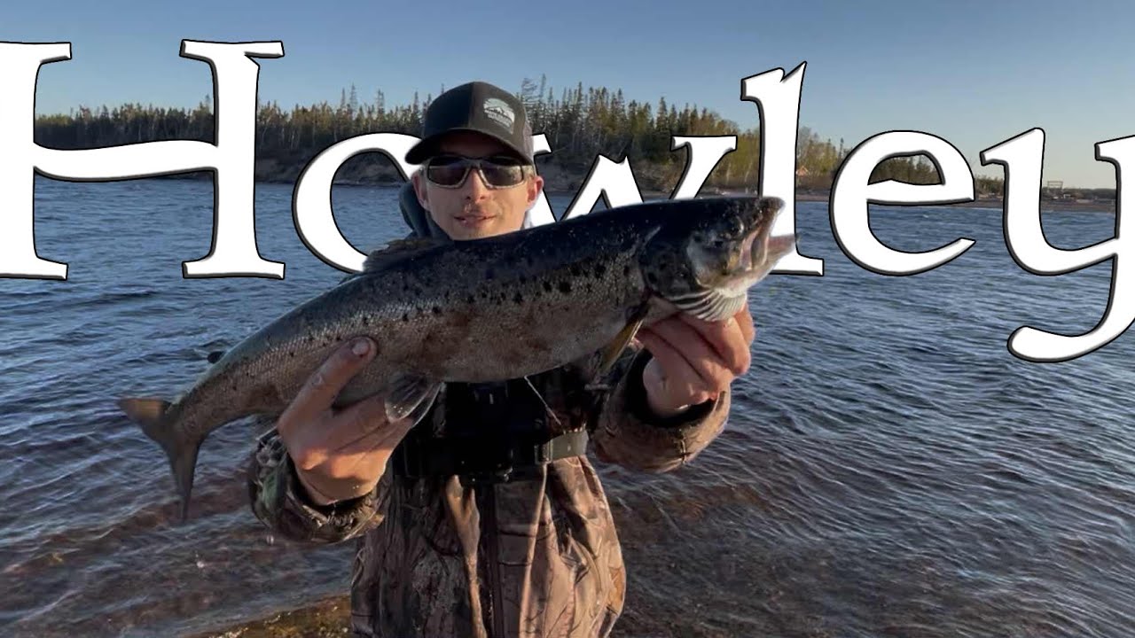 Fishing for MONSTER salmon and HUGE brook trout in Newfoundland! (Wildlife, drone footage, boil up!)