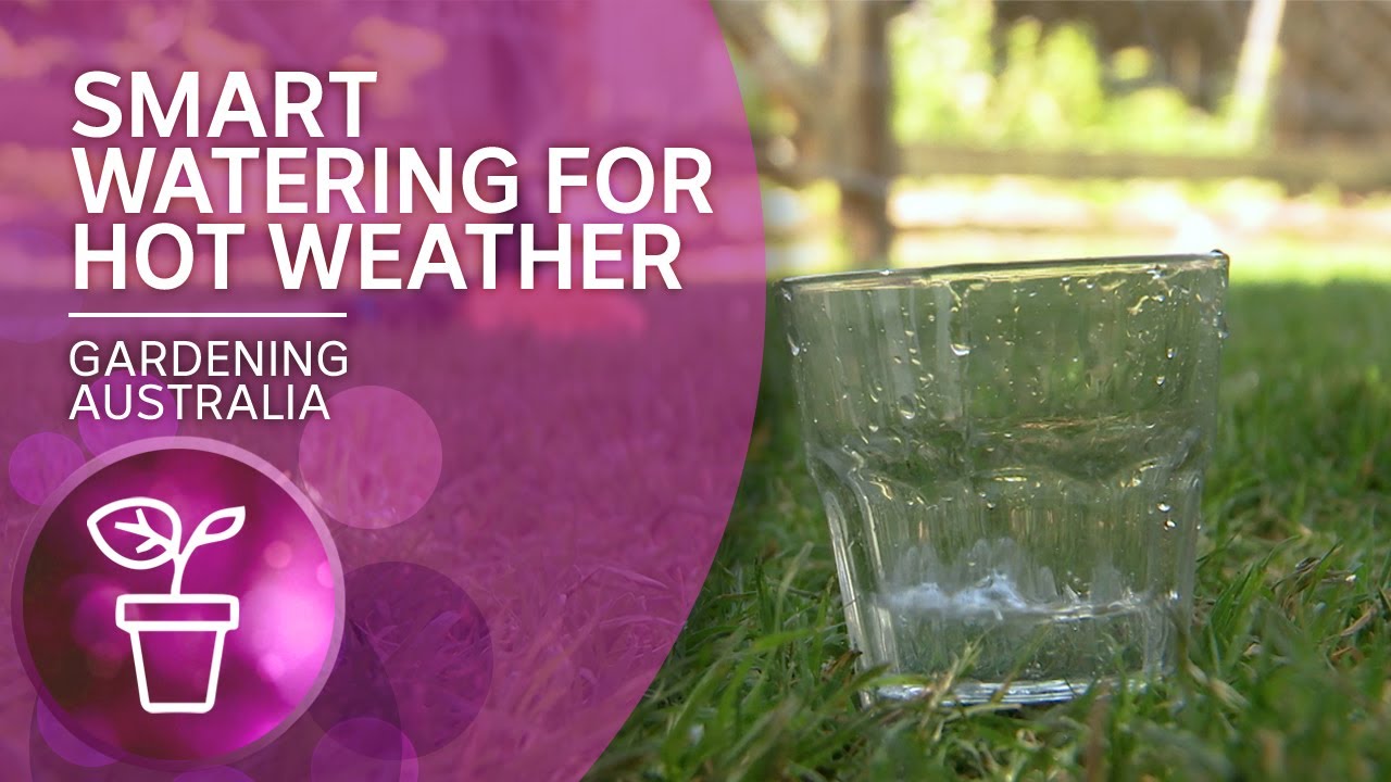Smart watering to reduce air temperature