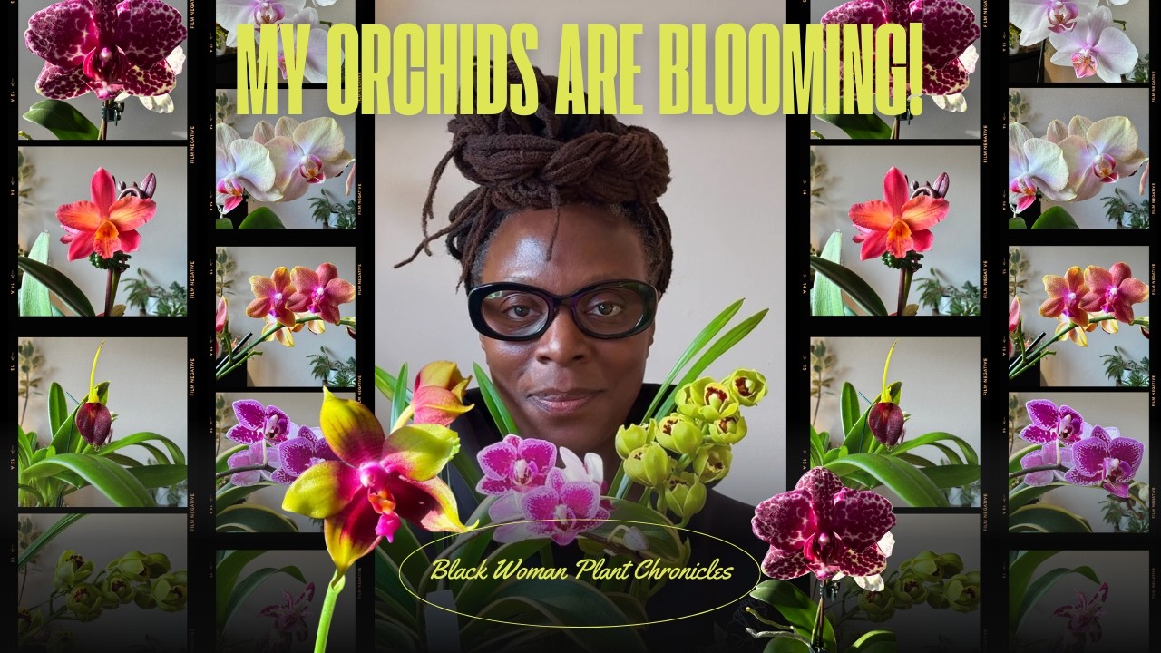 Flowering Orchids  + SOOS Orchid Haul | Rare Blooms, New Additions & Show Highlights