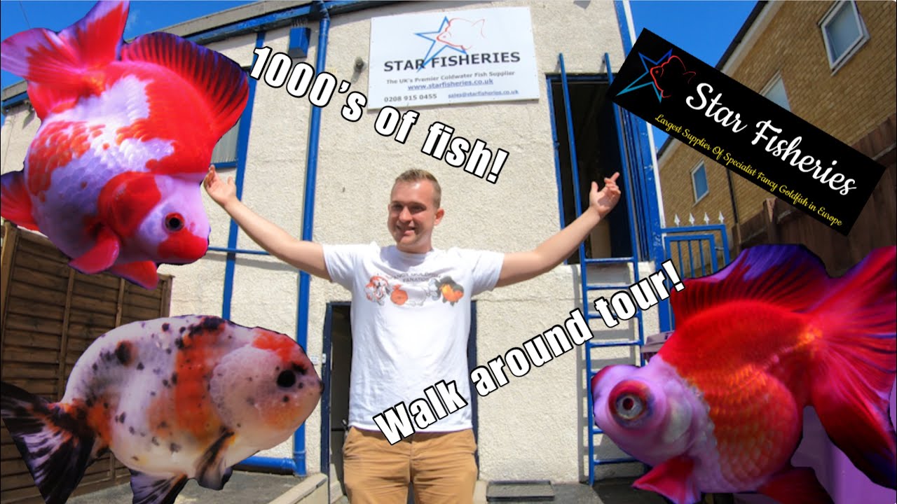 Star Fisheries walk around tour!