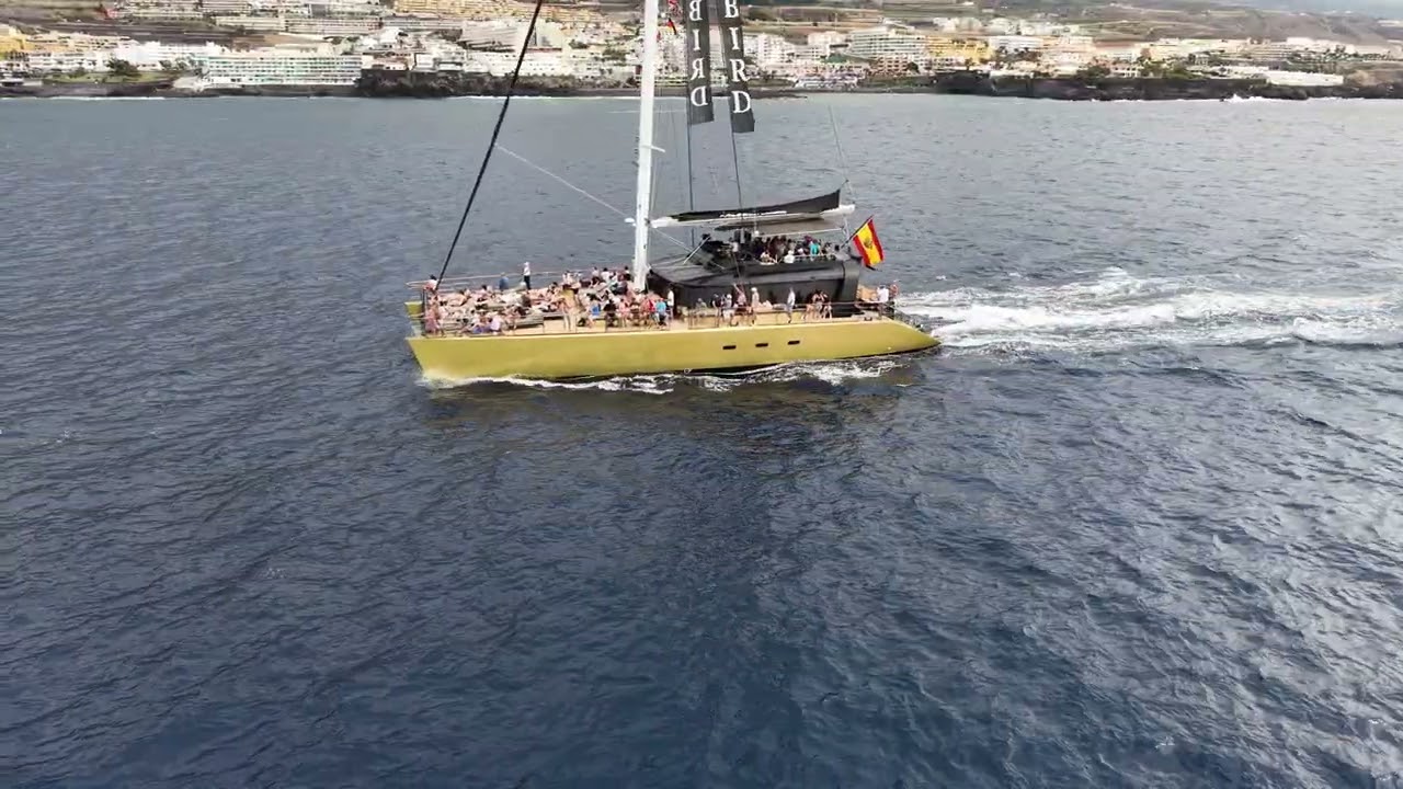Freebird Catamarans #mini5pro #catamaran #catamaranlife #4kcinematicvideo #catamaransailing