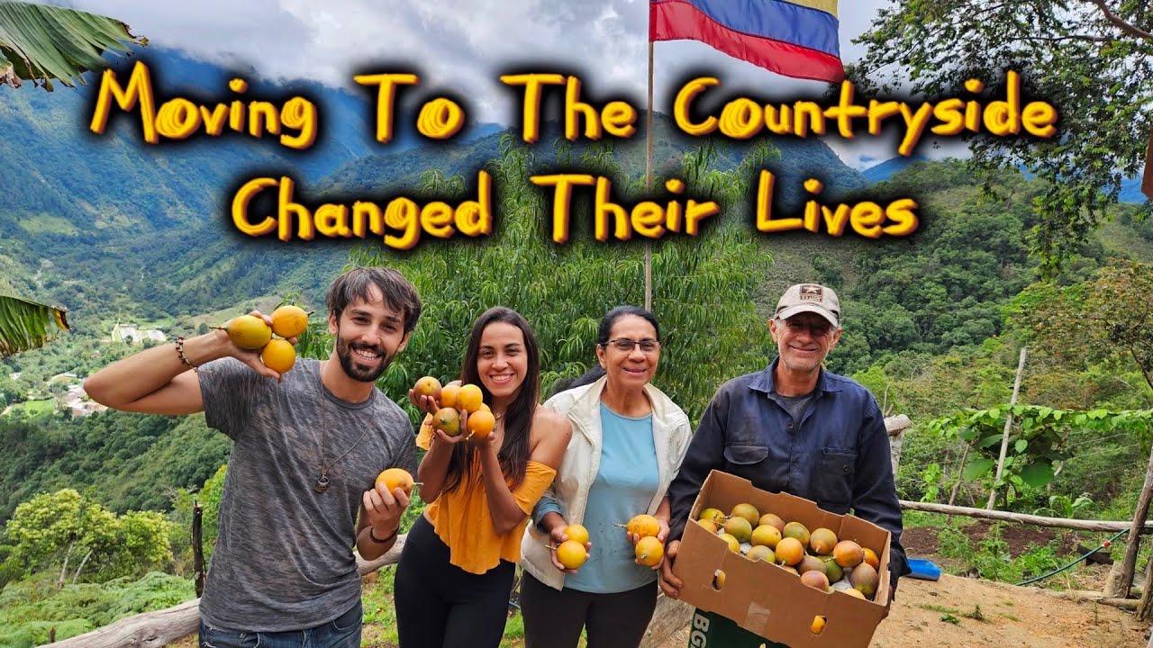 Finding Peace Building A Mountaintop #Homestead