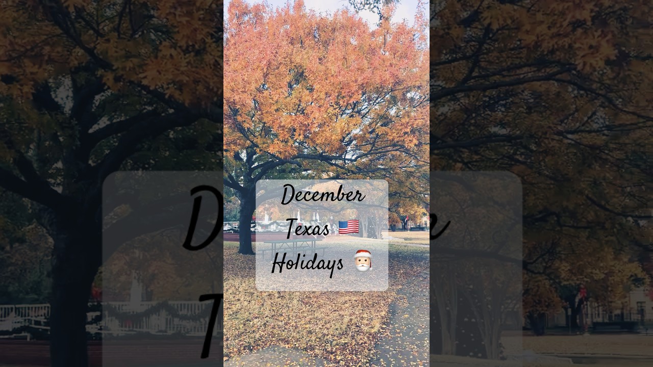 Holidays 🎅🏻 🍂 December Texas Trailhead Scenery 