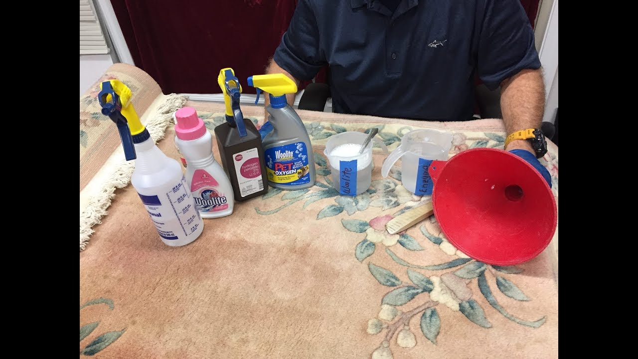 How To Remove Pet Urine From A Wool Rug