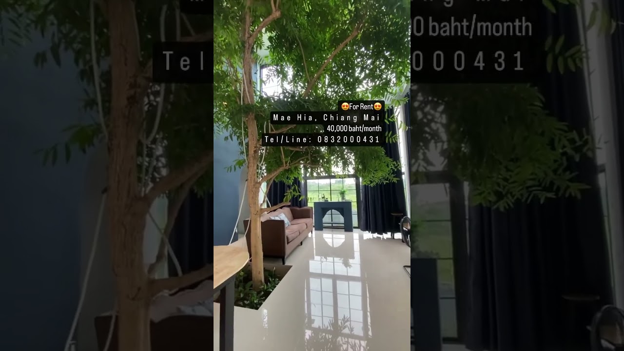 😍 40,000 baht/month.  House for rent in Chiang Mai .  #chiangmai #realestate #forrent