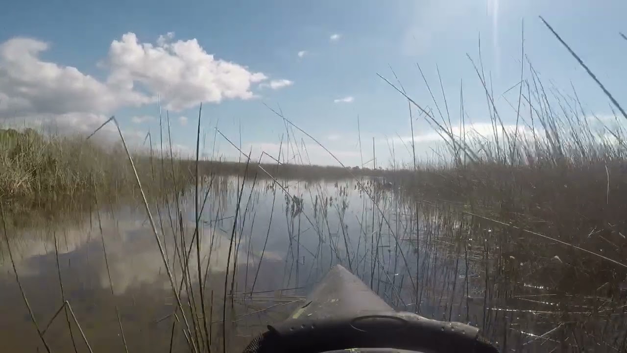 Kayaking Hagens Cove Park