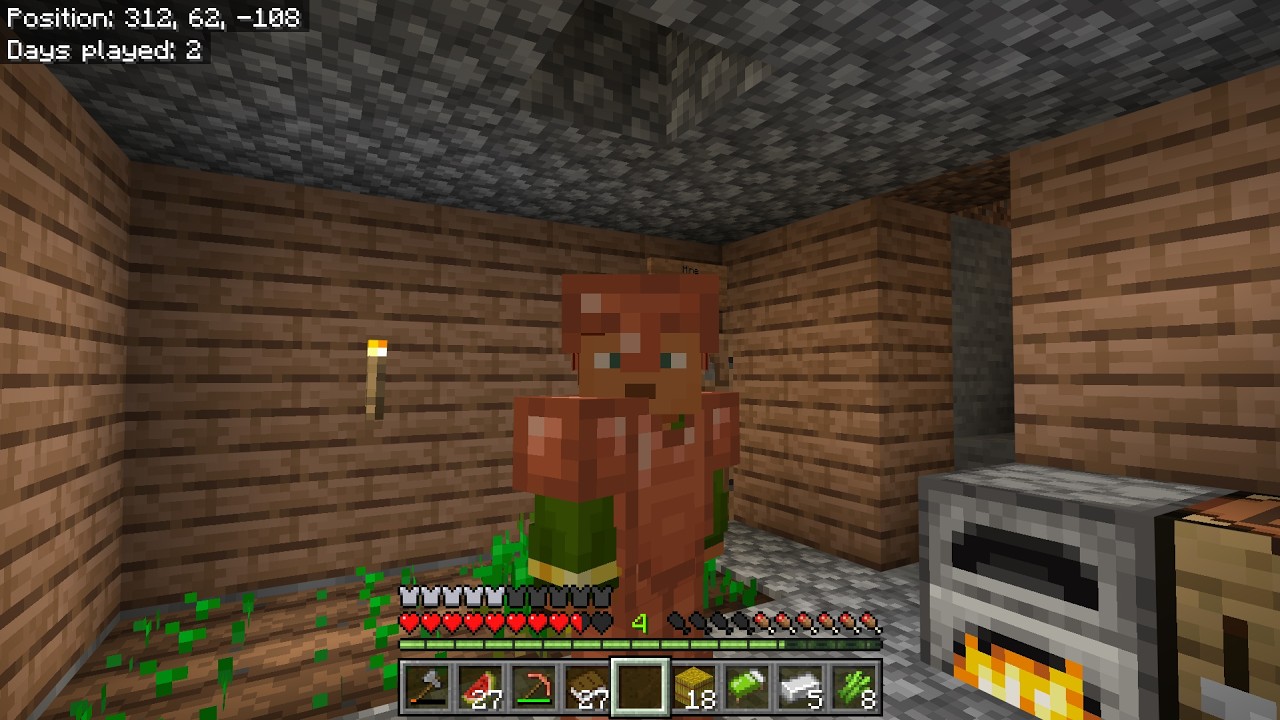Minecraft series part 2