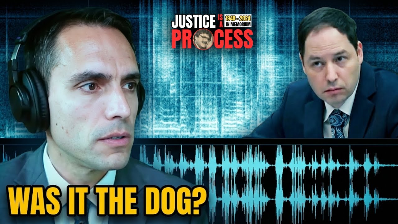 Forensic Audio Expert: 911 Call Sound Consistent With Dog, Not Human | Banfield Trial