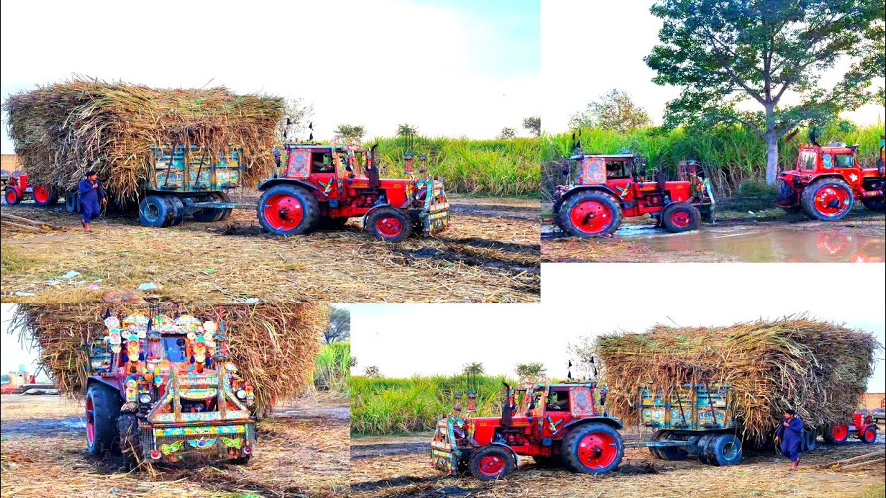 Tractor Belarus 510 12 wheeler Trala vajan 1400 man geo rusi g