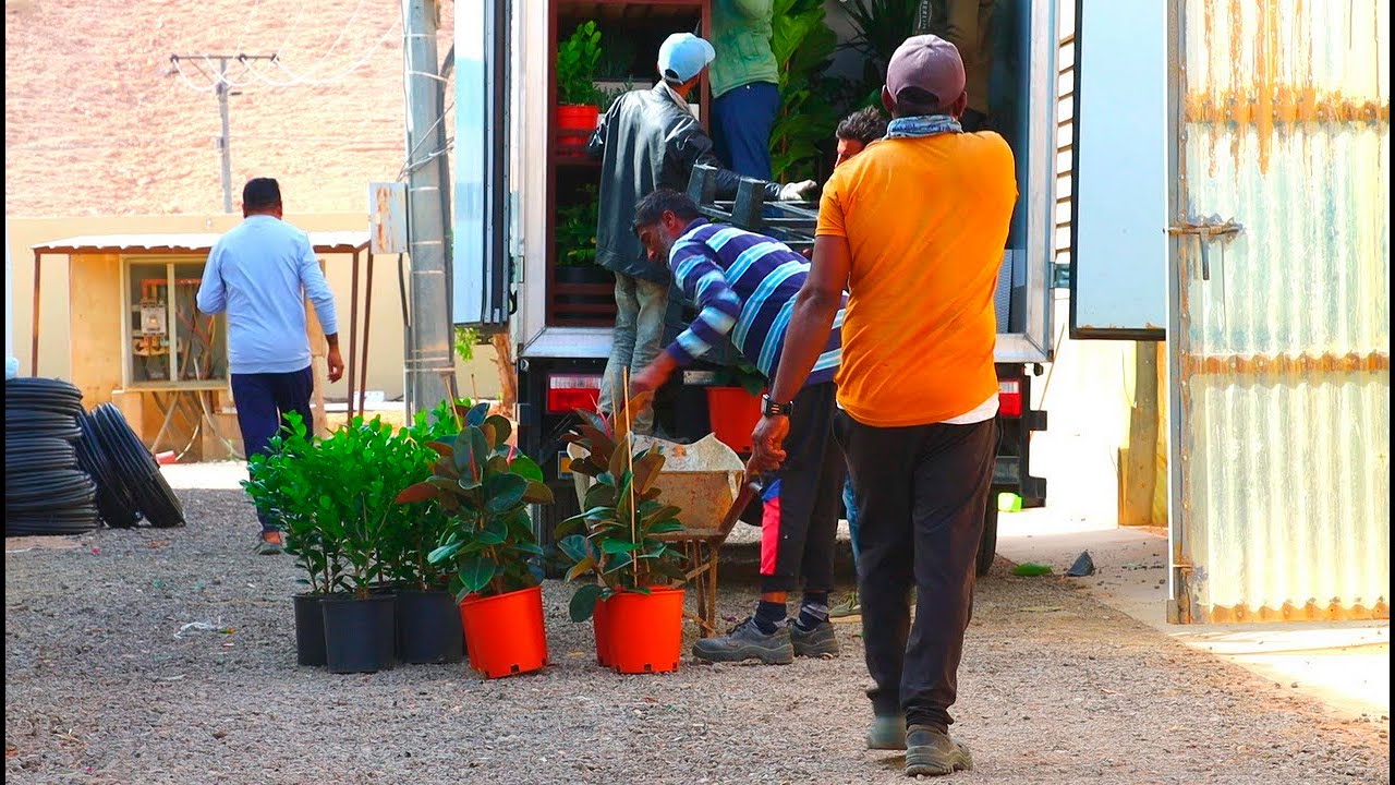 A VISIT TO A PLANT NURSERY IN THE DESERT - Al Washeq Gardens Nursery & Farm, Riyadh, Saudi Arabia