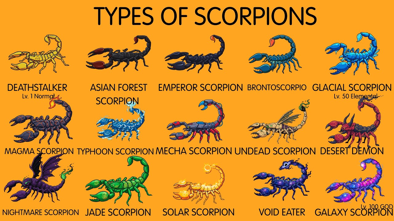 Most DEADLY Scorpions: Level 1 to GOD TIER 🦂 (Evolution) | 8K Documentar