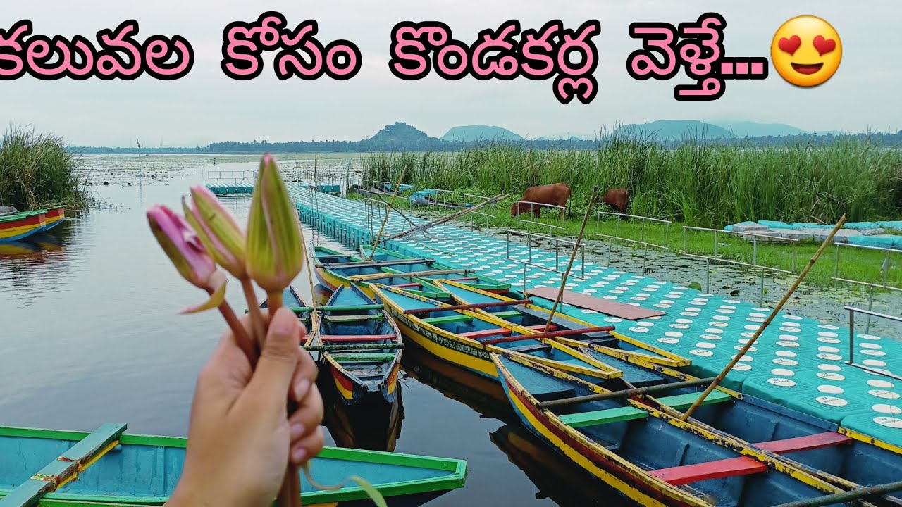 #kondaKarla ava vlog #vizag //must visit in andhra //bird sanctuary //lotus pond lake #mani369