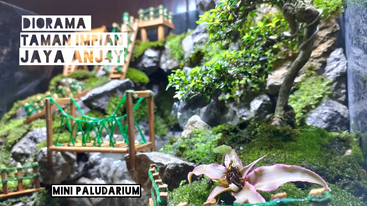 Membuat PALUDARIUM Mini | DIORAMA TAMAN IMPIAN JAYA ANJAY DENGAN BATU ERANGGA