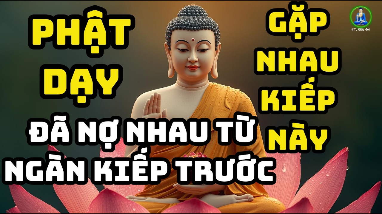 Gặp Nhau Kiếp Này, Đã Nợ Nhau Từ Ngàn Kiếp Trước-Theo lời phật dạy