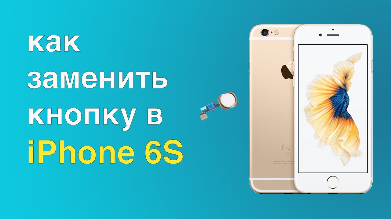 Как заменить кнопку Home (домой) в iPhone 6S.