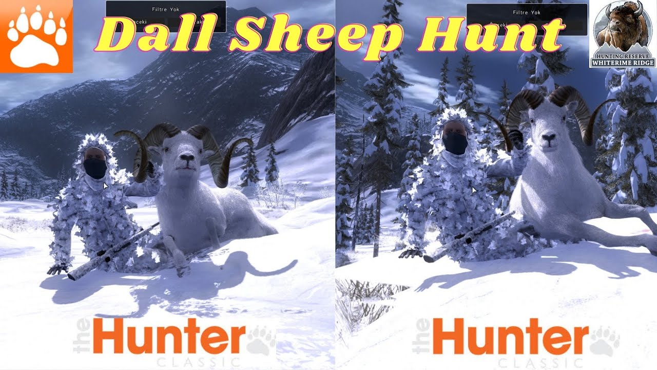 The Hunter Classic Dall sheep Hunt ( Dall Yaban Koyunu Avı ) #thehunterclassic