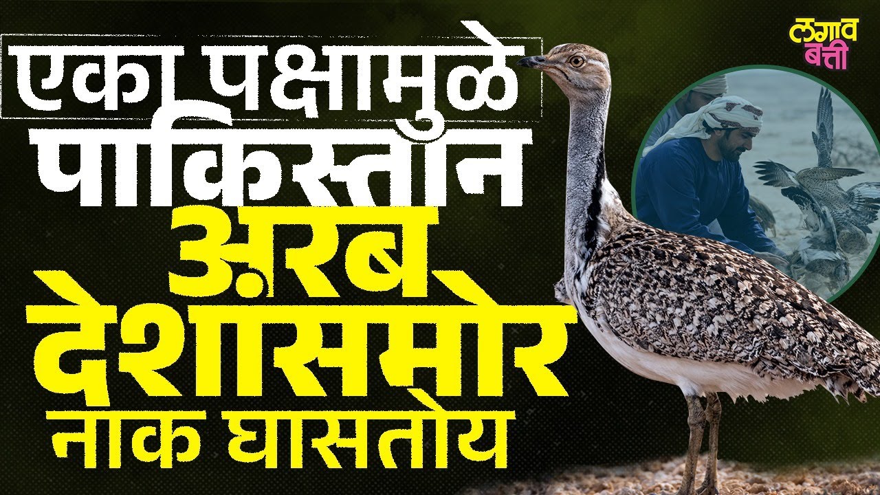 20 लाखांचा Tilor आणि अरब राजकारण | लाचार Pakistan नक्की काय शिजवतोय?