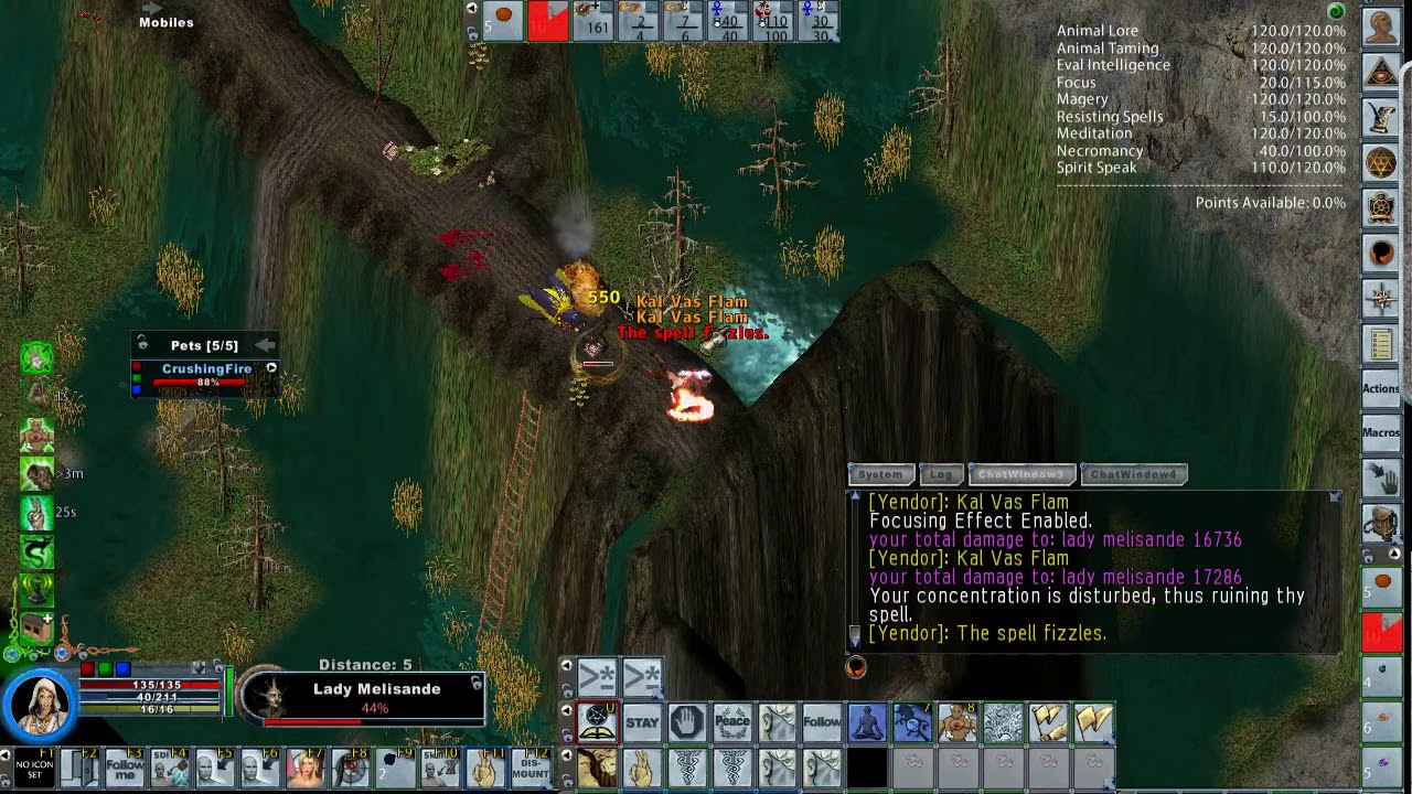 Ultima Online Lady Melisande Solo w/ Necro Mage Tamer