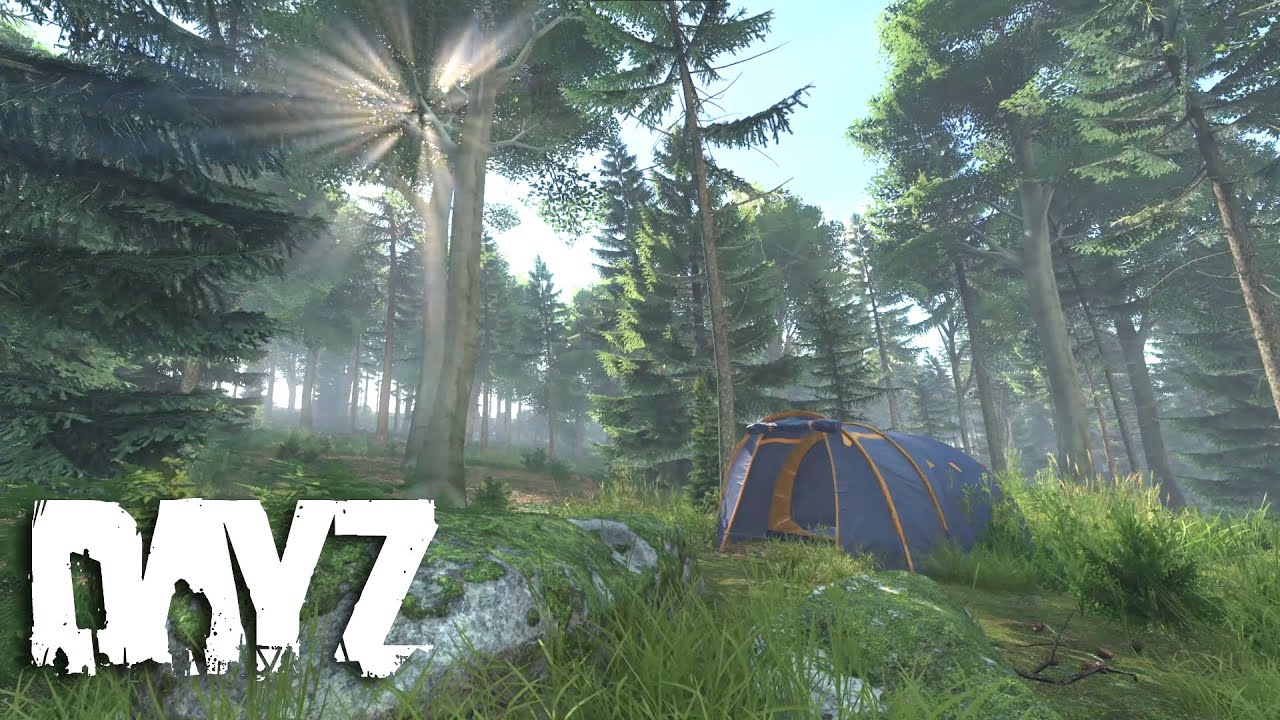 1 Hour of DayZ - Relaxing Nature & Forest Rain
