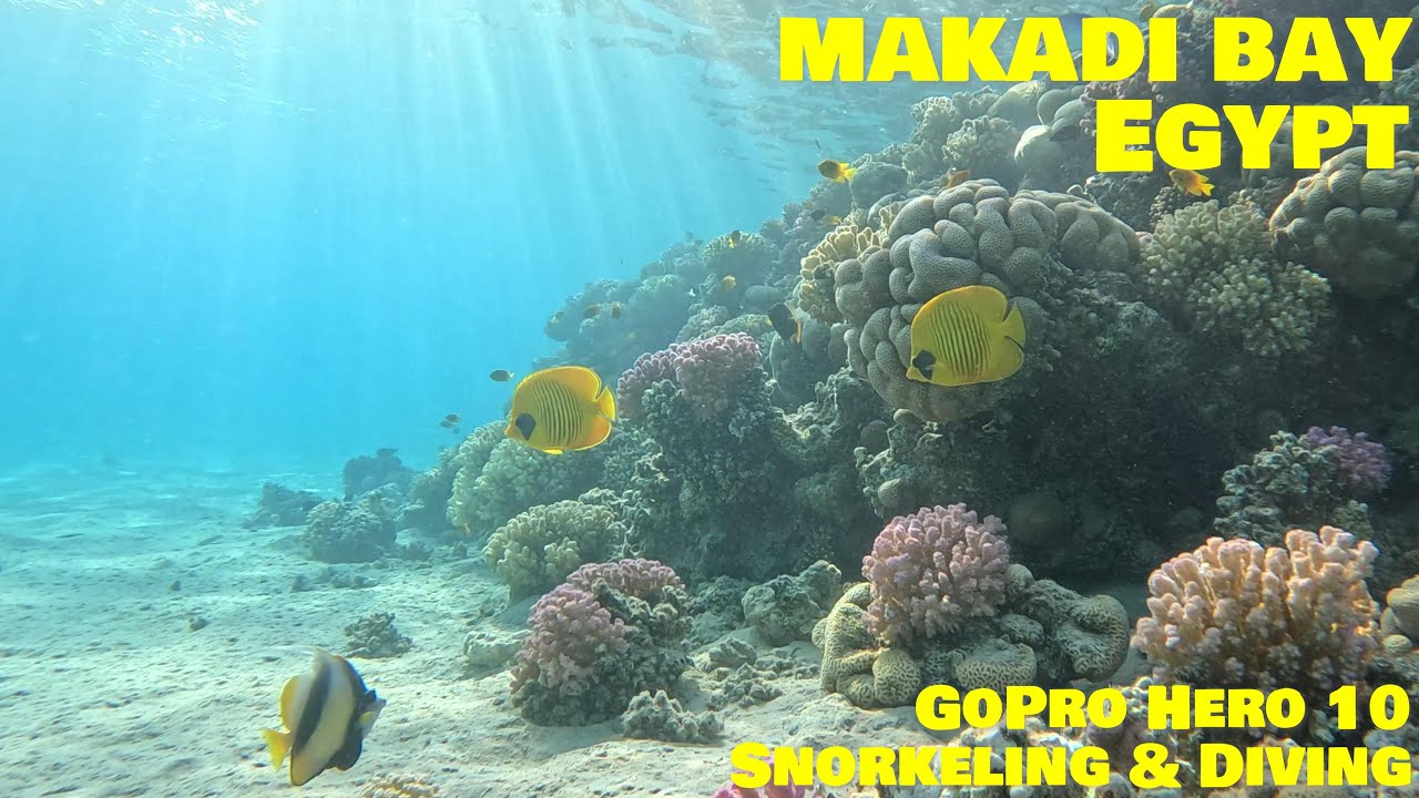 Fort Arabesque, Makadi Bay, Egypty Snorkelling and Diving 2023