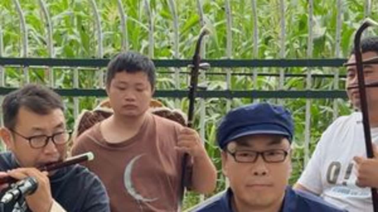 我制作的车载音乐优盘390多首曲子，电子琴，二胡，笛子，合奏的经典老歌，进主页店铺下单
