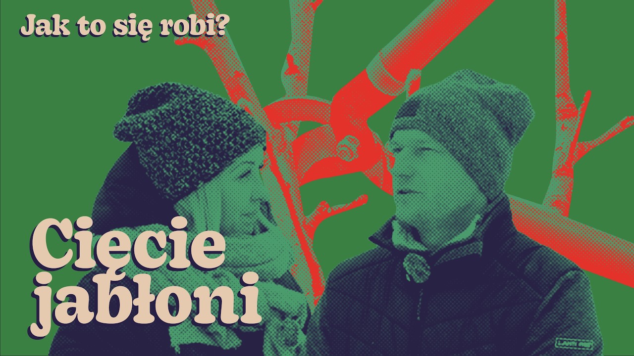 Jak i kiedy przycinać jabłonie? Polecamy stare odmiany jabłoni