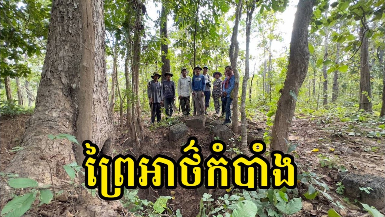ព្រៃ​អាថ៌កំបាំង​ មាន​ប្រាសាទ​បុរាណ​លាក់​ខ្លួន ព្រៃឈើល្អៗស្អាត | ស្រុកឆែប ខេត្តព្រះវិហារ