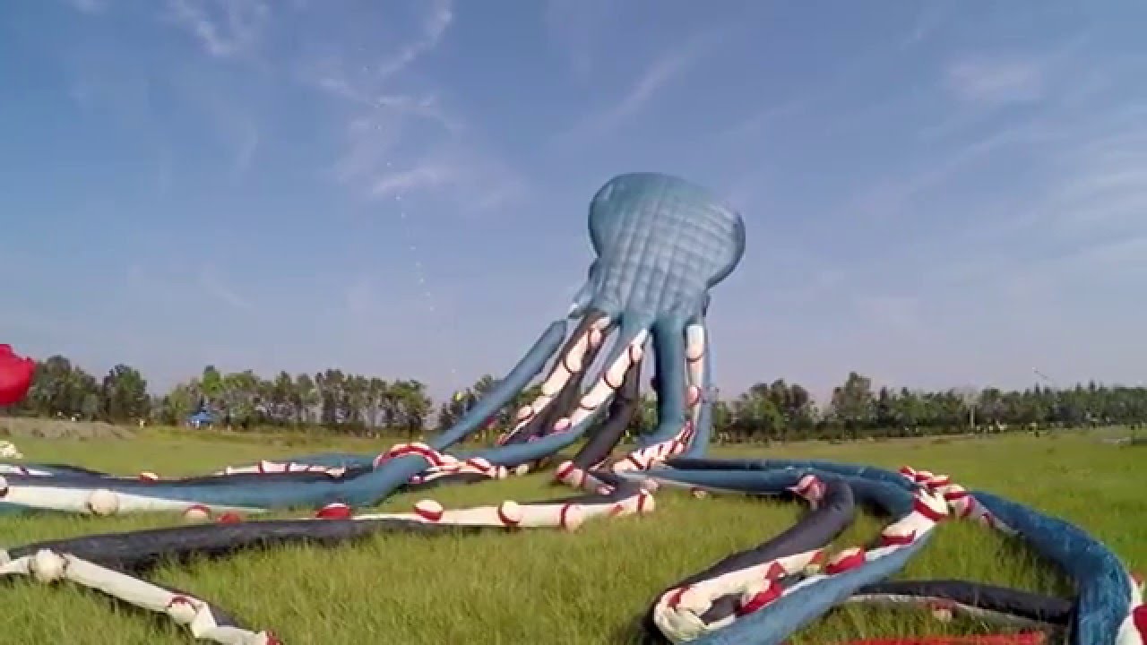 2016-第六屆-全國風箏表演大會 TAIWAN  KITE FESTIVAL, JANUARY 2016