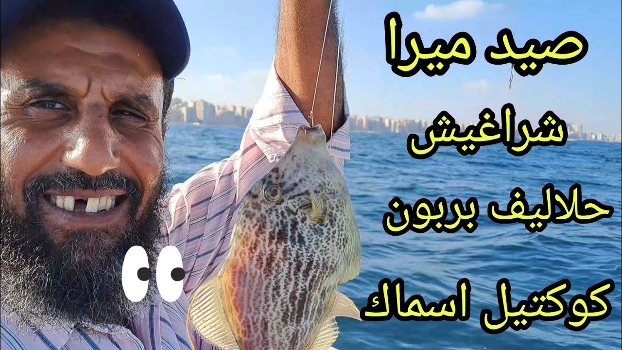 رحلة صيد تسقيط علي الوعر كوكتيل اسماك ميرا حلابيش وشراغيش حلاليف وبربون مع #Abo adam هاوي صيد