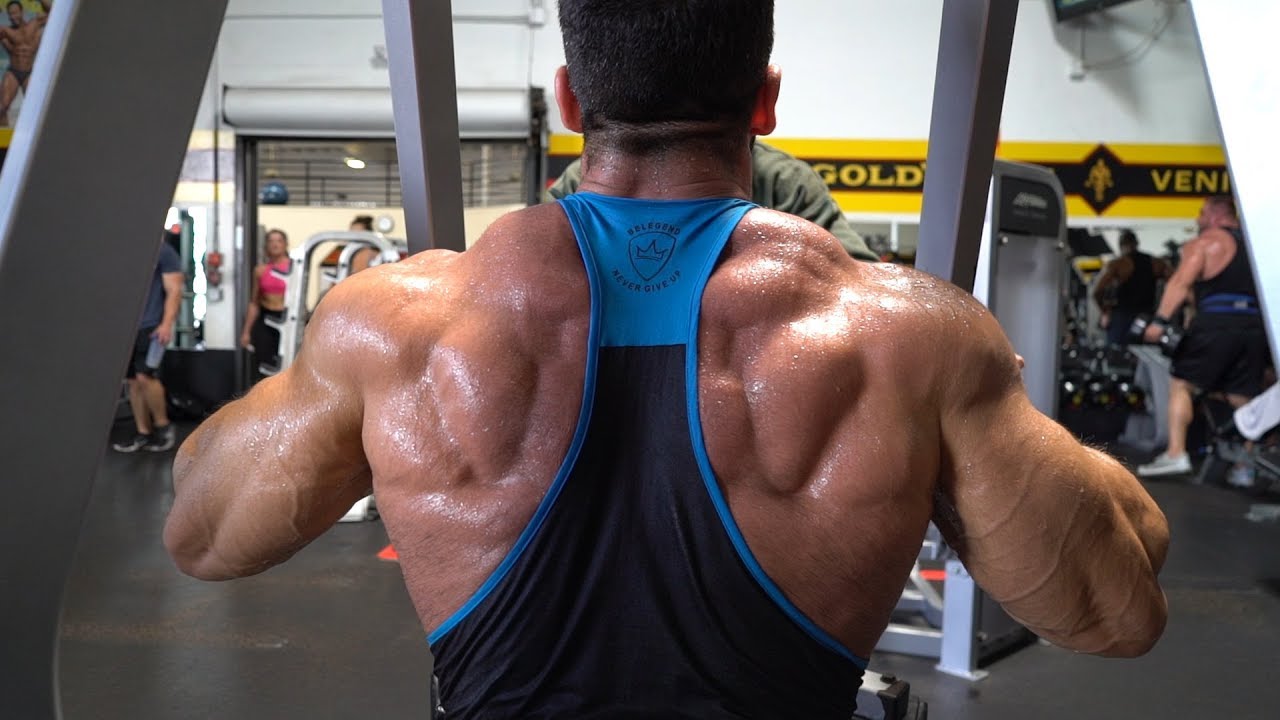 Sergi Constance Olympia Vlog 14 days out Entrenamiento de Espalda y triceps