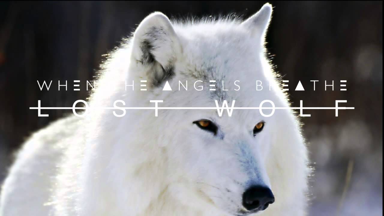 When The Angels Breathe [ WTAB ] - Lost Wolf