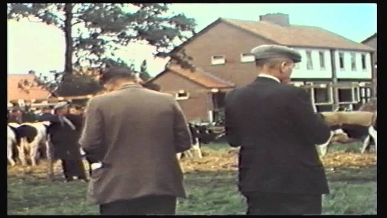 Vriezenveen fokveedag in 1957
